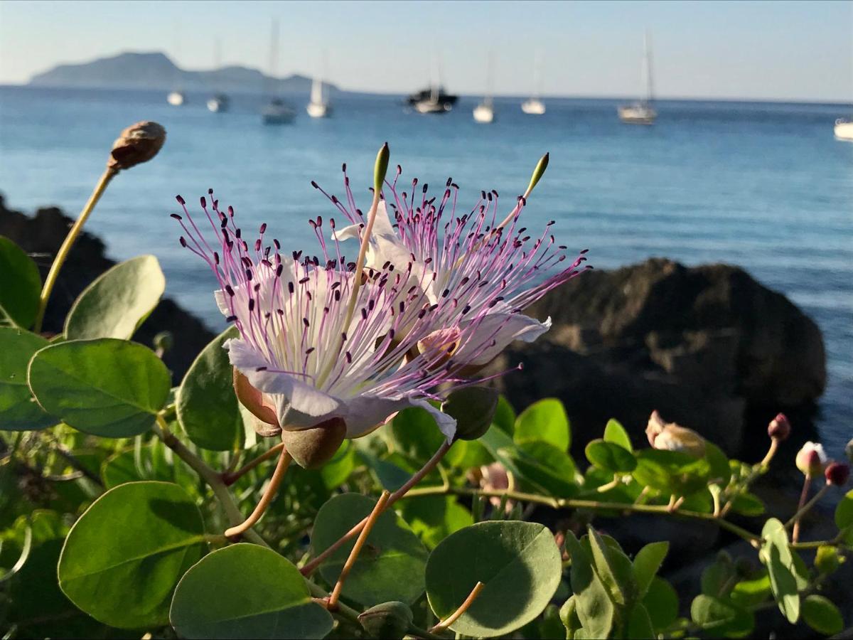 Zaffiro Lavico Rooms Etna Nature Sea Acireale Eksteriør bilde